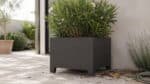 Großer schwarzer Aluminium-Pflanzkübel mit blühendem Oleander auf einer hellen Terrasse. Erde, trockene Blätter und ein Gartenschlauch sorgen für eine natürliche, leicht unaufgeräumte Umgebung