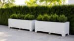 Weiße rechteckige Aluminium-Pflanzkübel mit kleinen grünen Sträuchern stehen nebeneinander vor einer dichten Hecke. Einzelne Blätter und leichte Erdspuren liegen auf den hellen Terrassenplatten