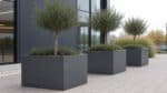 Drei anthrazitfarbene Aluminium-Pflanzgefäße mit kleinen Zierbäumen vor einem modernen Gebäude mit großen Glasflächen und heller Pflasterfläche.