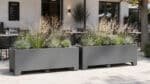 Zwei lange graue Aluminium-Pflanzkübel stehen nebeneinander auf einer hellen Restaurantterrasse und bilden mit blühenden Ziergräsern einen natürlichen Raumteiler