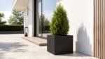 Schwarzer Pflanzkübel MARCO 14 aus Fiberglas mit Thuja auf einer hellen modernen Terrasse