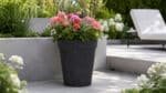 Beton-Pflanzkübel auf einer Betonfläche im Garten, bepflanzt mit farbenfrohen Blumen und grünem Blattwerk