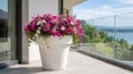 Beton-Pflanzkübel mit pinken, rosa und weißen Petunien auf einem hellen Balkon mit Glasgeländer
