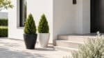 Beton-Pflanzkübel mit Thuja neben den Stufen vor einem modernen Haus