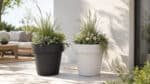 Beton-Pflanzkübel mit Ziergräsern, hellen Blüten und grünem Blattwerk auf einer hellen modernen Terrasse
