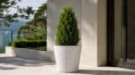 Beton-Pflanzkübel mit einer grünen Thuja auf einer hellen, modernen Terrasse