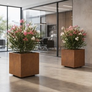 Zwei quadratische Pflanzkübel aus Cortenstahl mit blühendem Oleander in Rosa und Weiß in einem modernen Büro