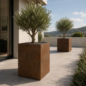 Zwei quadratische Pflanzkübel aus Cortenstahl mit kleinen Bäumen auf einer modernen Terrasse, einer vorne und einer weiter hinten