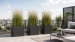 Fiberglas-Pflanzkübel mit hohem Ziergras als Raumteiler auf einer modernen Dachterrasse