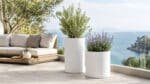 Fiberglas-Pflanzkübel auf einer hellen Terrasse mit Meerblick, bepflanzt mit einem kleinen Olivenbaum und Lavendel