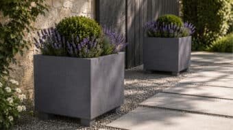 Pflanzkübel mit Lavendel und Buchsbaum in einem modernen Garten, ein Kübel im Vordergrund