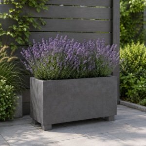 Moderner grauer Beton-Pflanzkübel mit blühendem Lavendel vor einem dunklen Gartenzaun