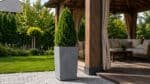 Betonpflanzkübel mit einer grünen Thuja neben einer modernen Holzlaube im Garten