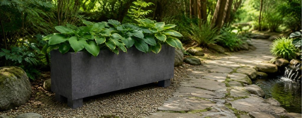 Pflanzkübel Füße Feuchtigkeit: grauer Beton-Pflanzkübel mit üppigen Hostas neben einem Natursteinweg im schattigen Garten