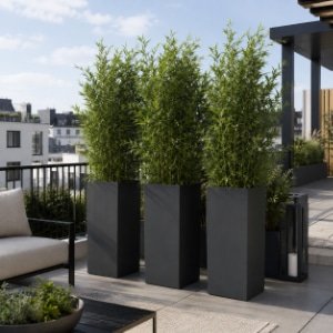 Pflanzkübel mit dichten grünen Pflanzen als Sichtschutz auf einer modernen Dachterrasse