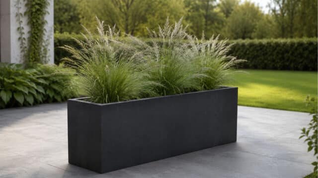 Pflanzkübel mit üppigen Ziergräsern auf einer modernen Gartenterrasse