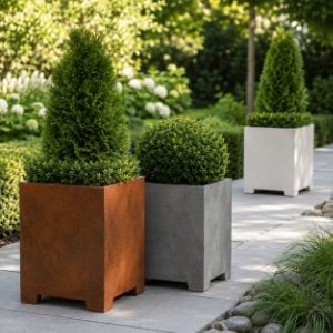 Pflanzkübel aus Cortenstahl, Beton und Aluminium mit Thuja und Buchsbaum auf einem Gartenweg
