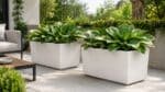 Pflanzkübel mit üppigen Hostas auf einer modernen Terrasse