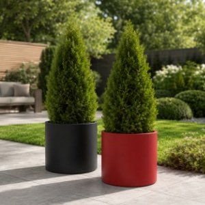 Pflanzkübel mit hohen grünen Thuja-Pflanzen in einem modernen Garten