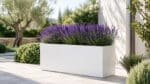Weißer rechteckiger Fiberglas-Pflanzkübel mit blühendem Lavendel in einem hellen Garten