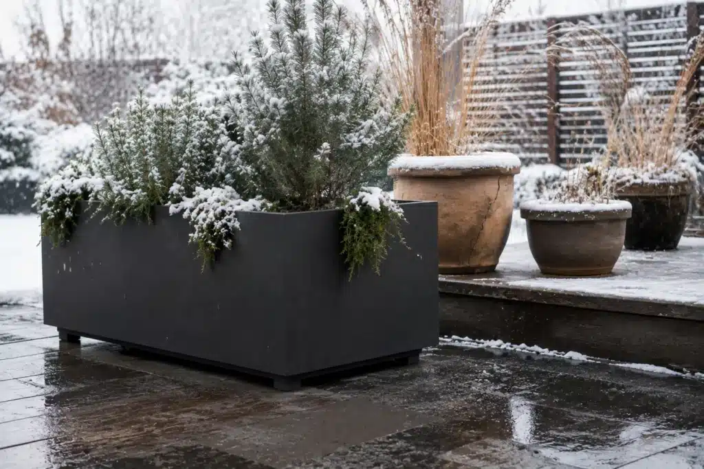 Frostbeständiger rechteckiger Pflanzkübel neben einem durch Winterfrost beschädigten Pflanzgefäß auf einer verschneiten Terrasse.