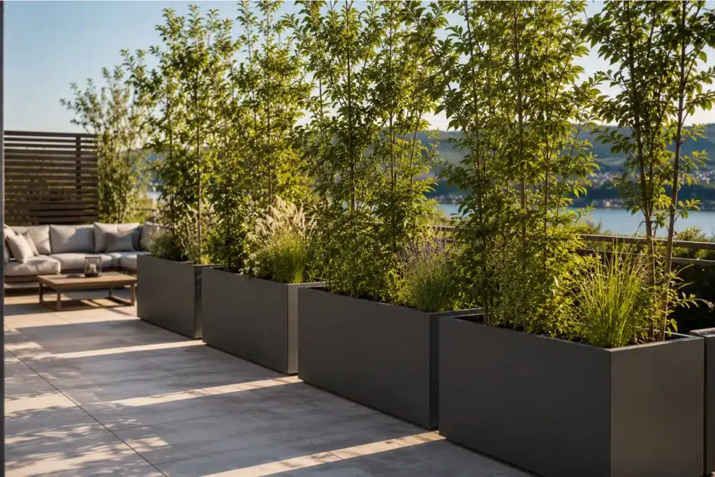 Große Pflanzkübel als natürlicher Sichtschutz auf einer modernen Terrasse