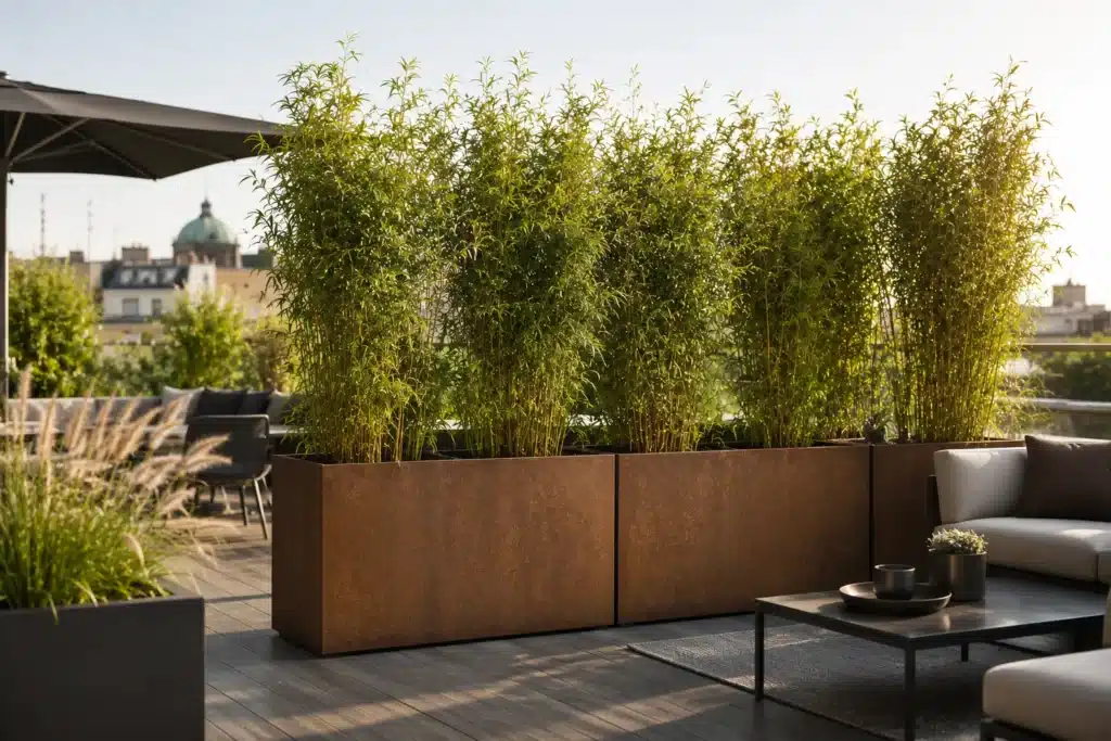 Große Pflanzkübel mit Bambus als natürlicher Sichtschutz und Raumteiler auf der Terrasse