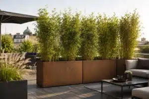 Pflanzkübel mit Bambus – die richtige Topfgröße für Sichtschutz im Garten