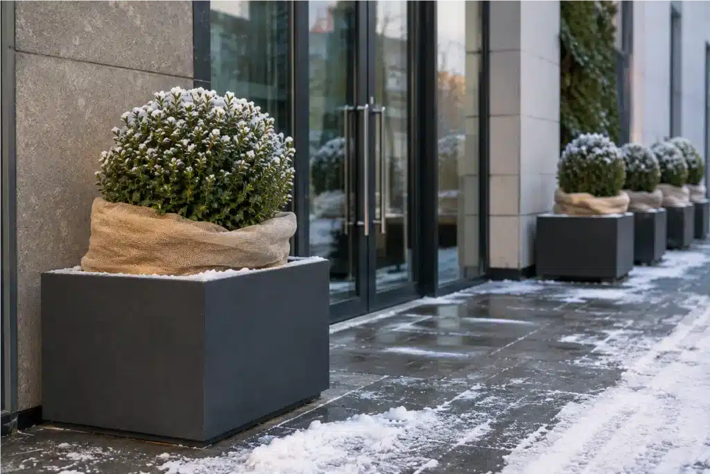 Quadratische Pflanzkübel mit Winterschutz vor einem modernen Gebäude bei Schnee und Frost.