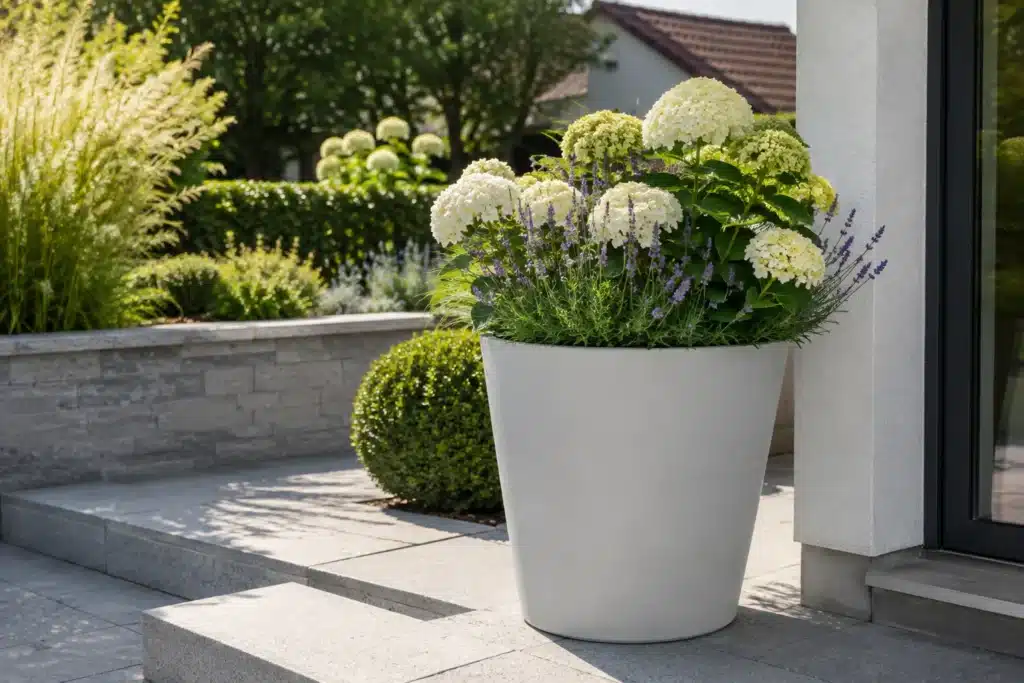 Weißer runder Pflanzkübel aus Beton mit Hortensien auf moderner Terrasse